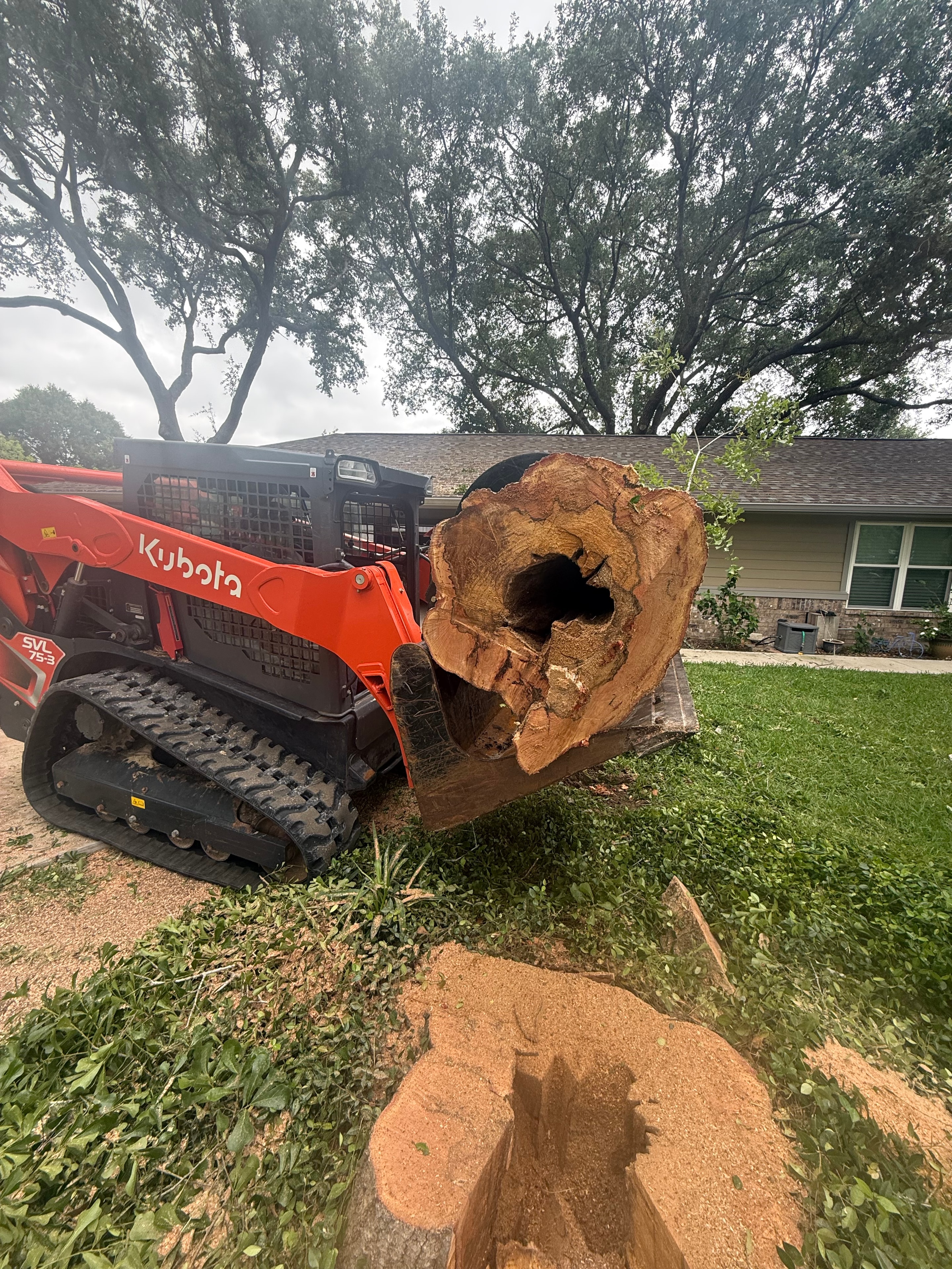Kubota 75-3 Skid Steer rental Houston TX